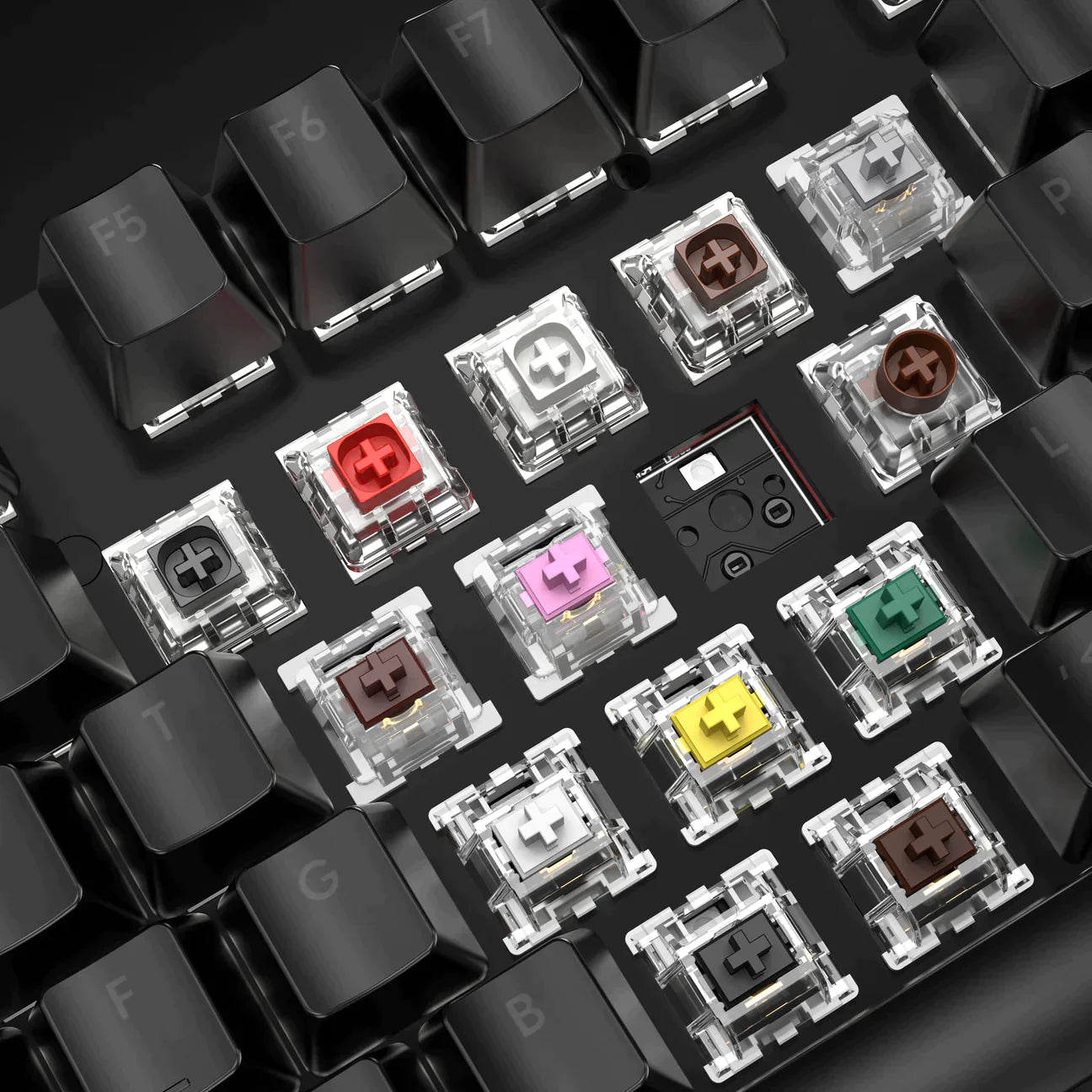 Switches – Pulsar Gaming Gears Japan